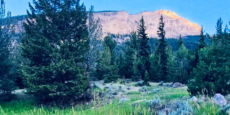 Camper submitted image from Whiskey Basin WMA - Trail Meadow