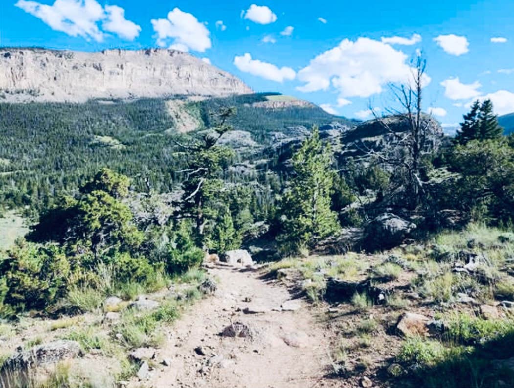Camper submitted image from Whiskey Basin WMA - Trail Meadow - 4