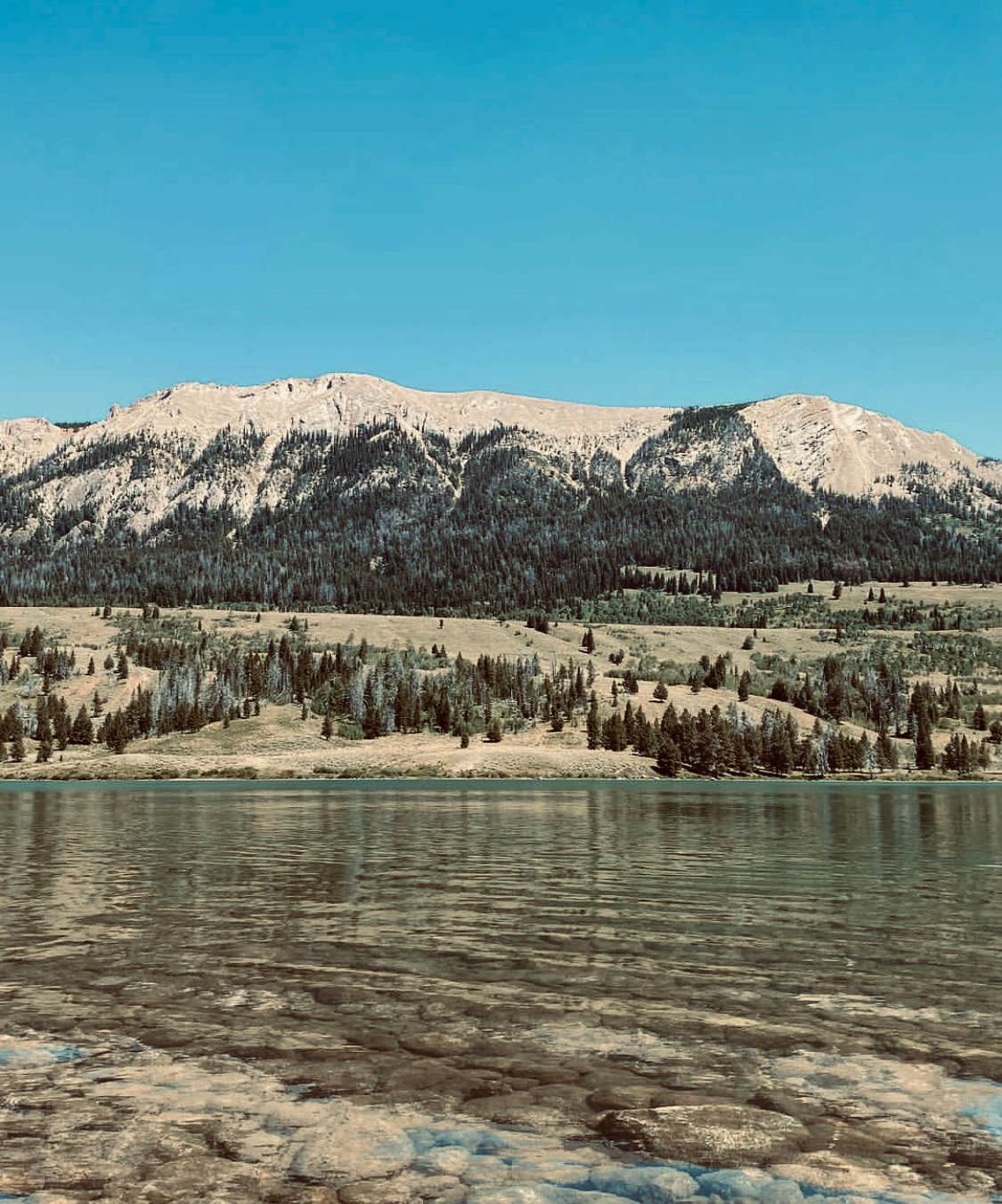 GoWhereYouAreDraw N.'s photo of a dispersed camping area at Green River Lakes Road near Boulder, WY