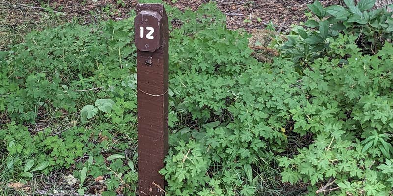 Camper submitted image from Weir and Johnson