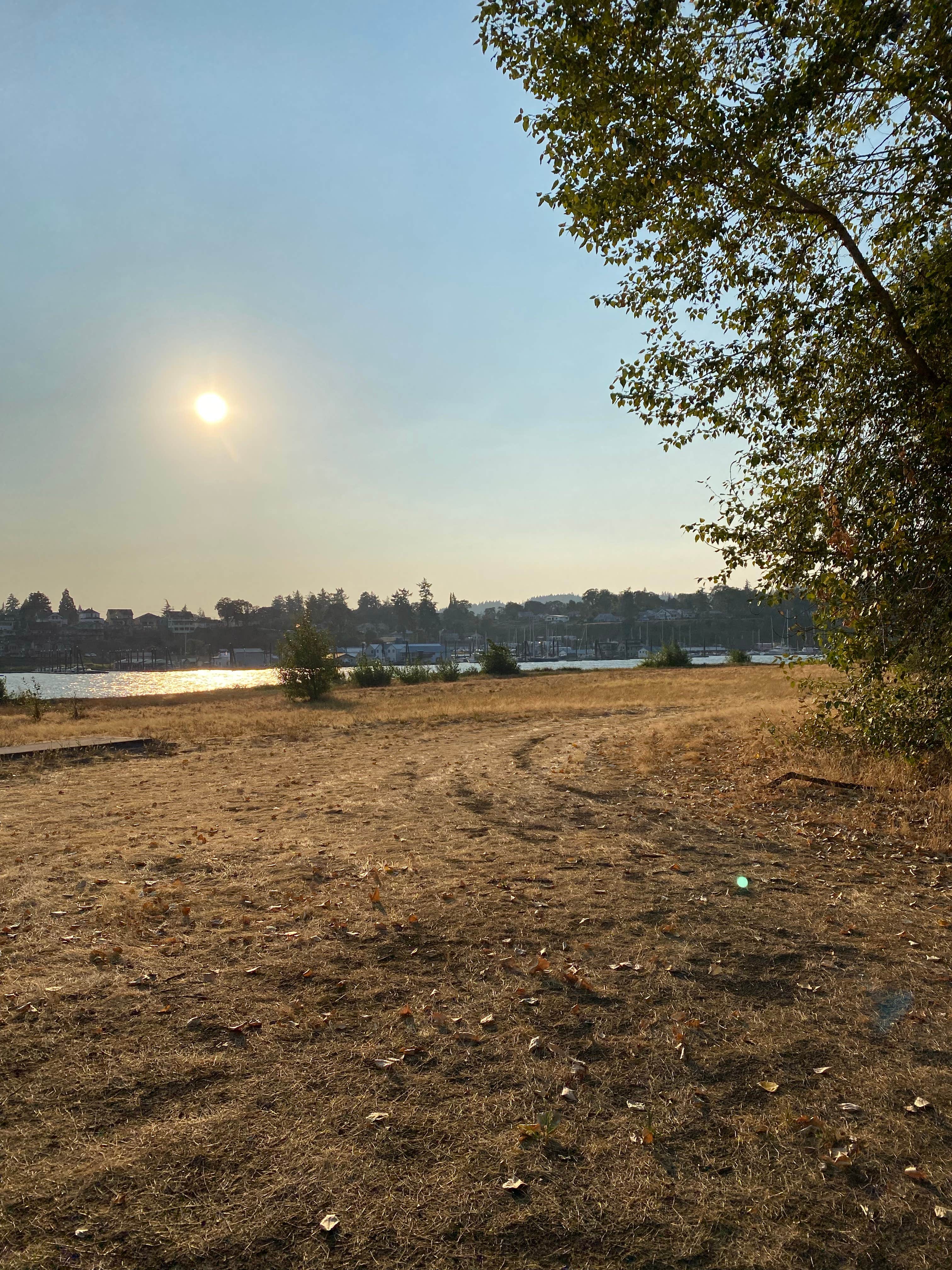 Camper-submitted photo at Sand Island Marine Park Campground near Woodland, WA