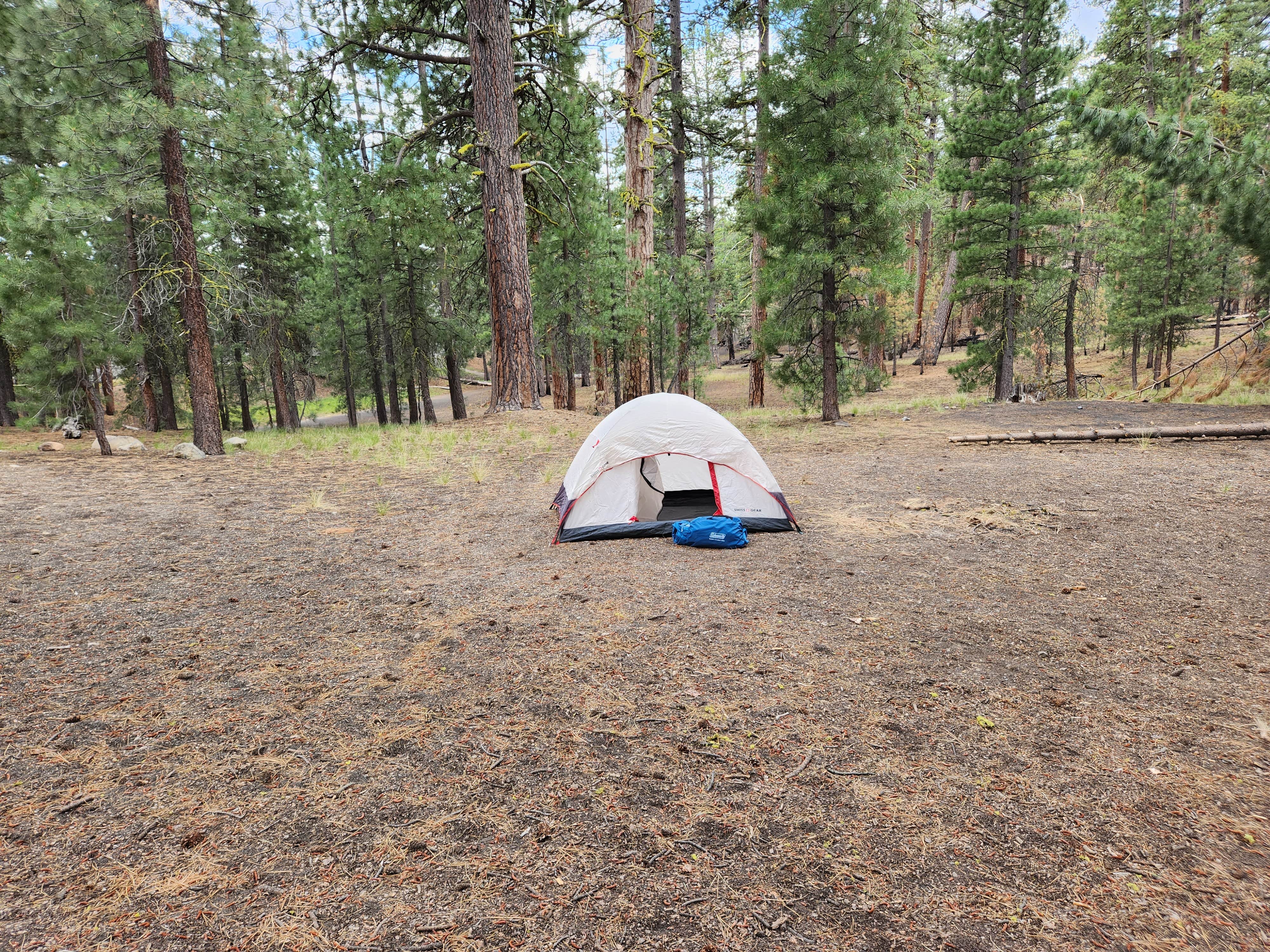 Jeff B.'s photo at Butte Lake Campground — Lassen Volcanic National Park near Lassen Volcanic National Park
