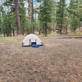 Review photo of Butte Lake Campground — Lassen Volcanic National Park by Jeff B., August 27, 2023