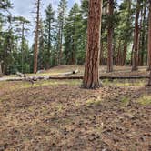 Review photo of Butte Lake Campground — Lassen Volcanic National Park by Jeff B., August 27, 2023