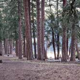 Review photo of Butte Lake Campground — Lassen Volcanic National Park by Jeff B., August 27, 2023