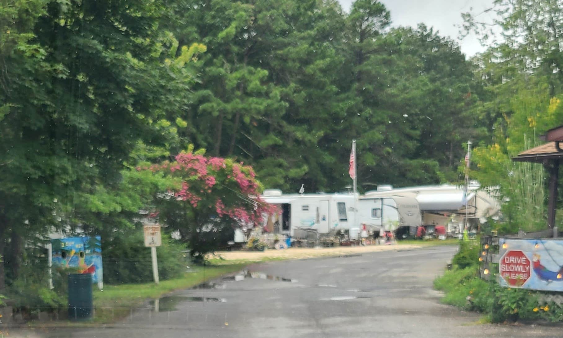 Camper submitted image from Cedar Creek Campground - PERMANENTLY CLOSED - 4