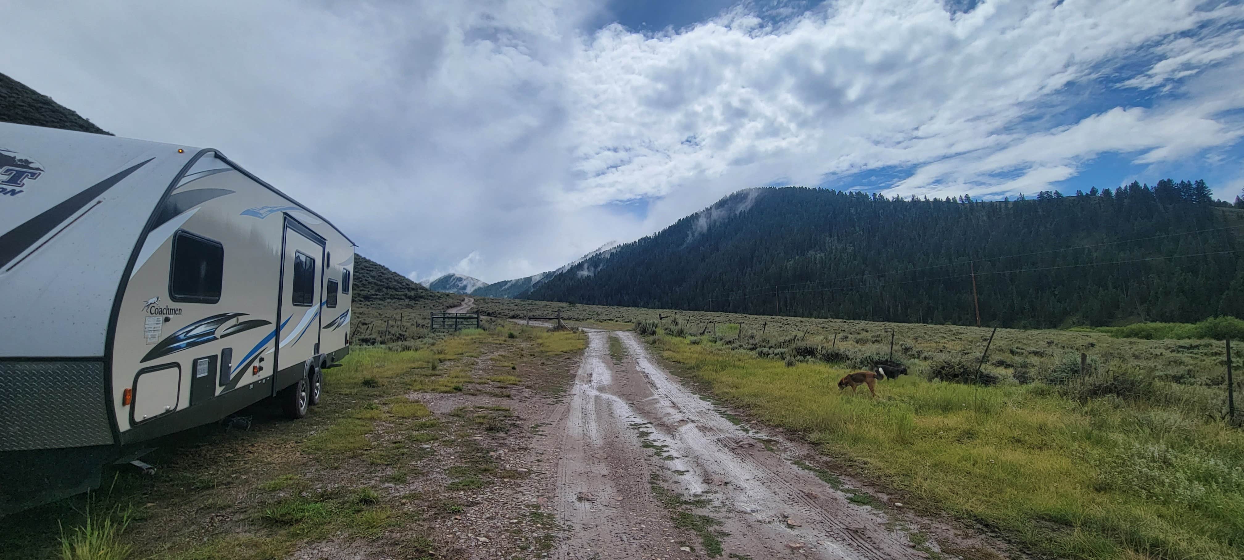 Elizabeth E.'s photo at Fall Creek Road - Dispersed near Jackson, WY