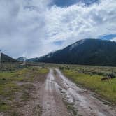 Review photo of Fall Creek Road - Dispersed  by Elizabeth E., August 27, 2023