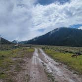 Review photo of Fall Creek Road - Dispersed by Elizabeth E., August 27, 2023