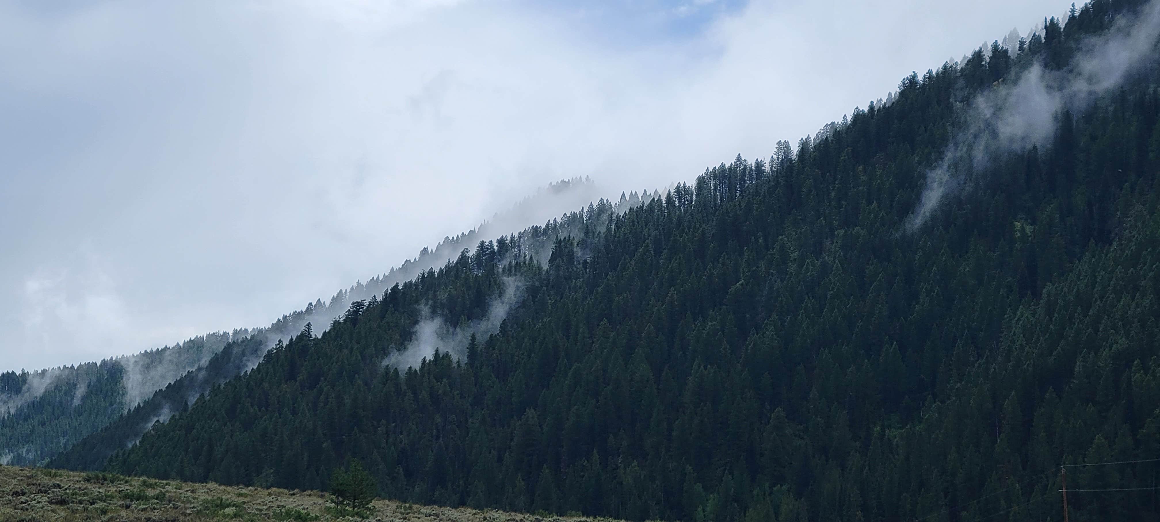 Camper-submitted photo at Fall Creek Road - Dispersed near Wilson, WY
