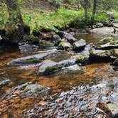 Review photo of Grasshopper Campground and Picnic Area by R W., August 27, 2023