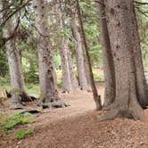 Review photo of Grasshopper Campground and Picnic Area by R W., August 27, 2023