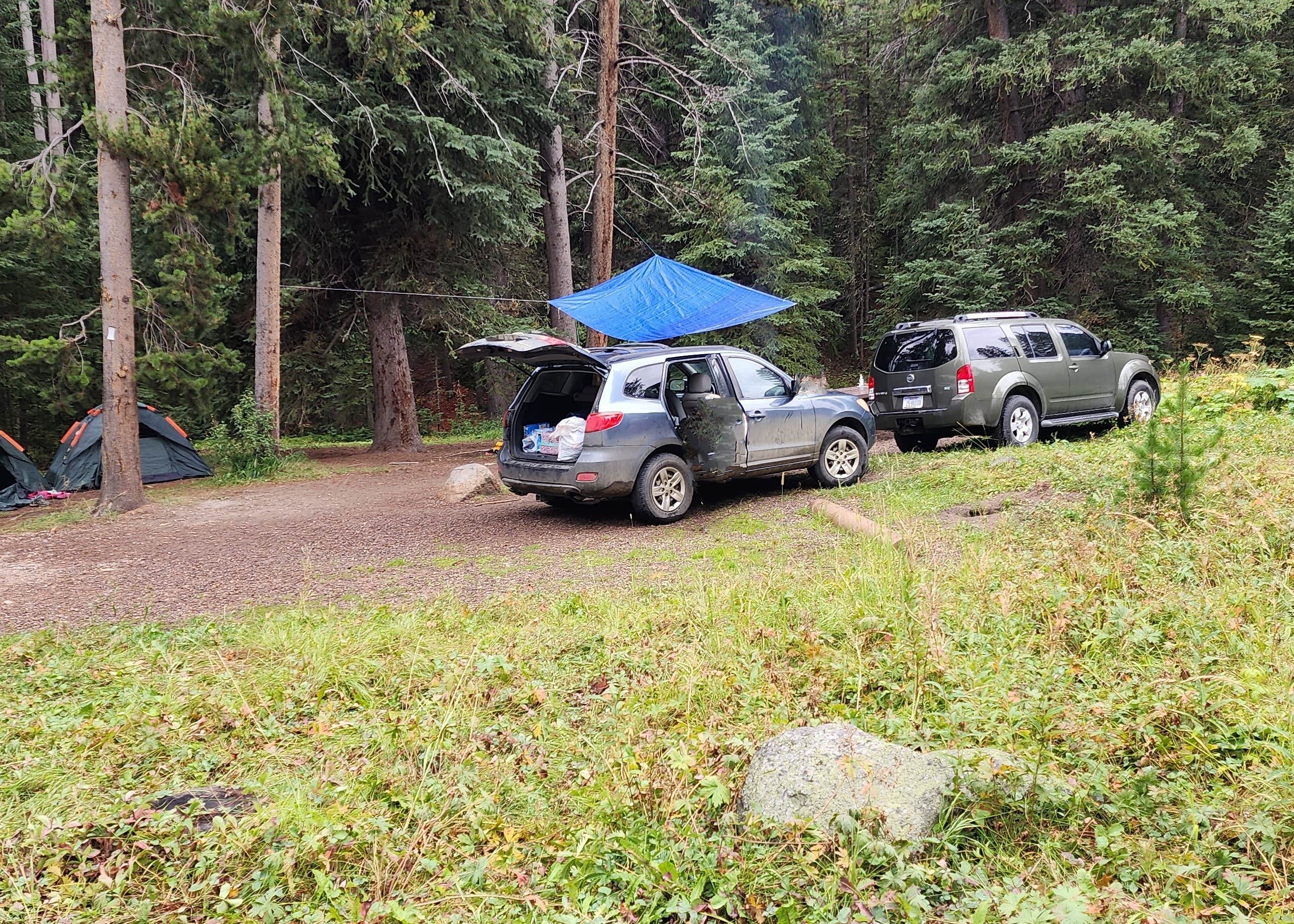 Campground and Picnic Area Camping The Dyrt