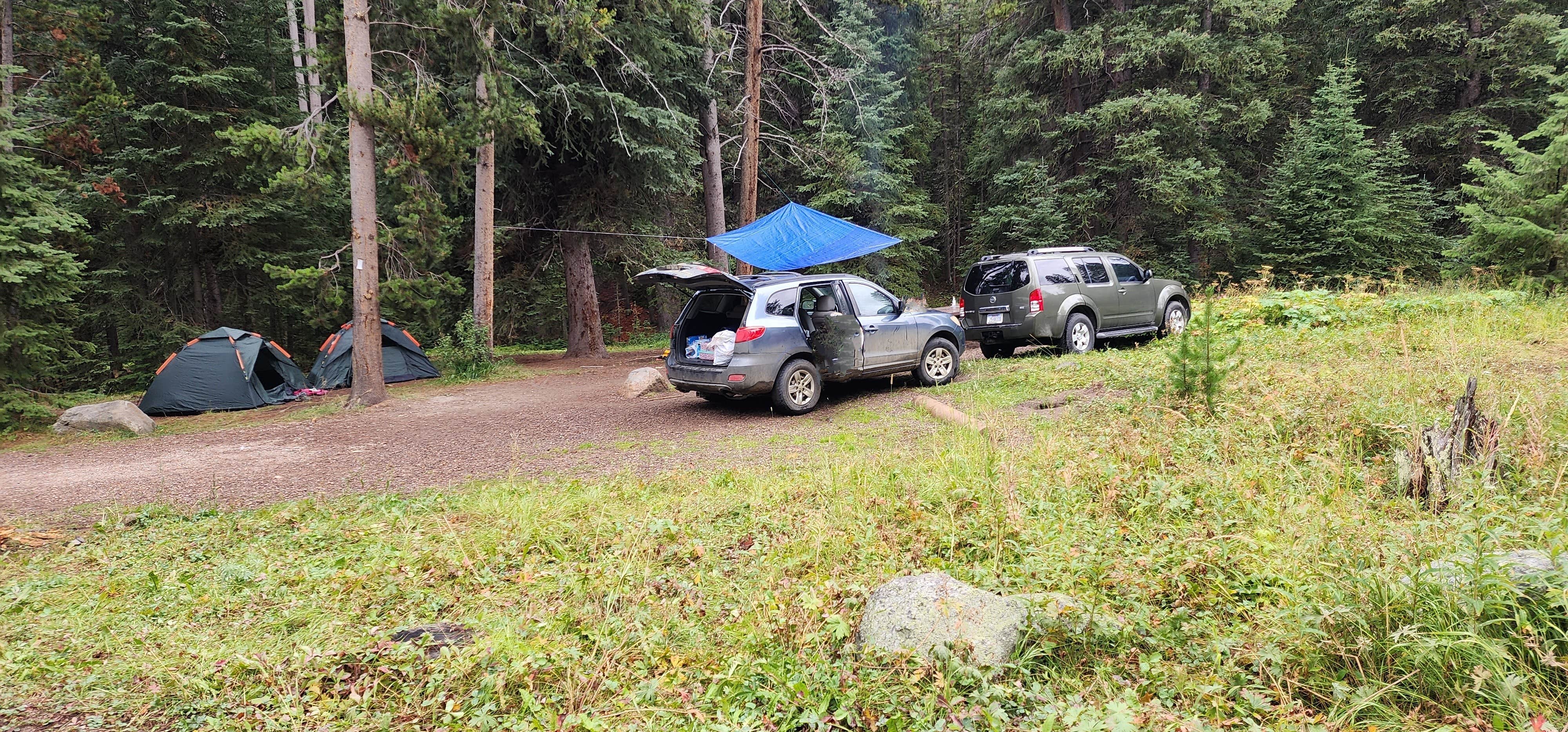 Camper submitted image from Grasshopper Campground and Picnic Area - 1