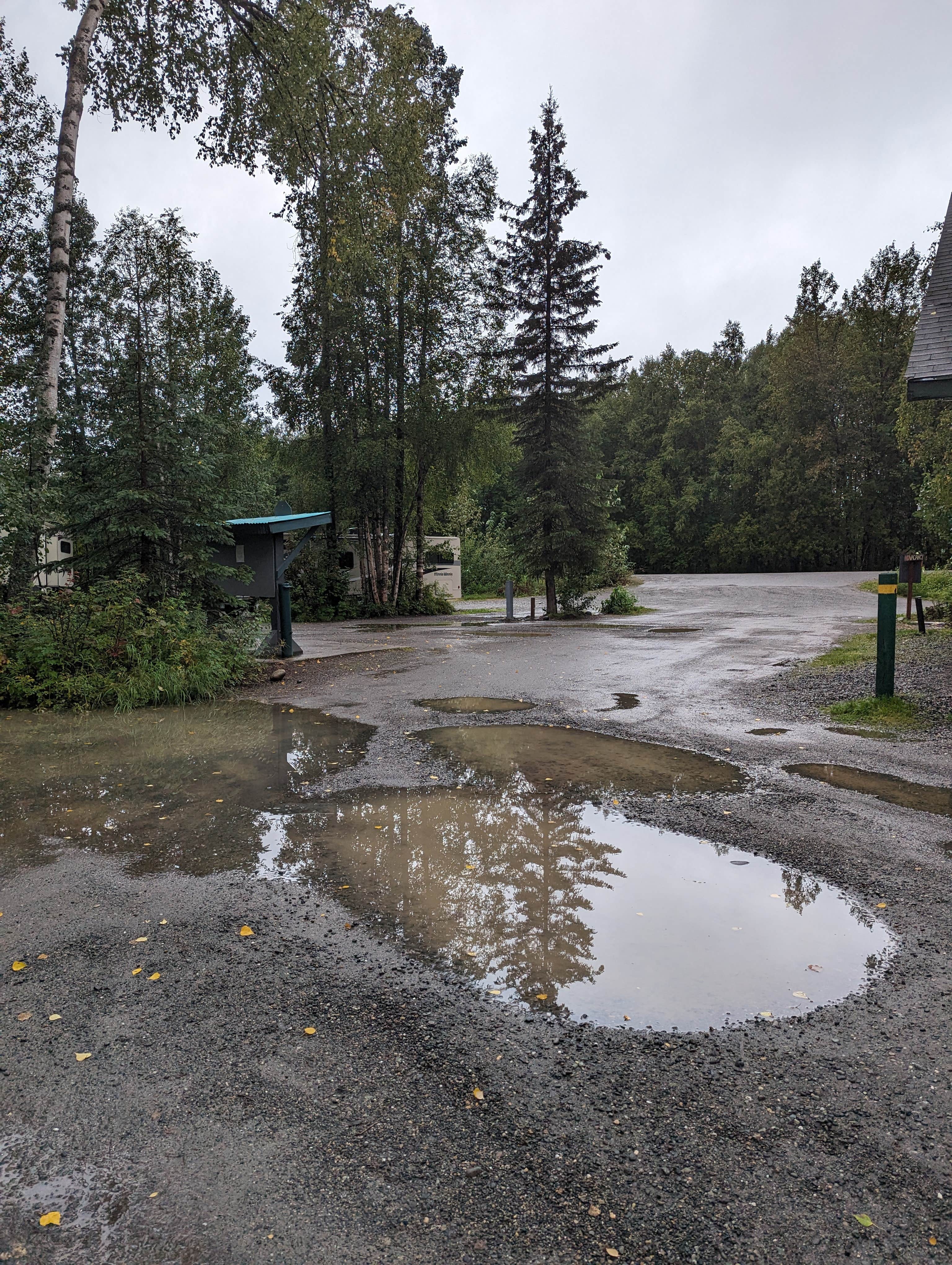 Camper-submitted photo at Talkeetna Camper Park near Talkeetna, AK