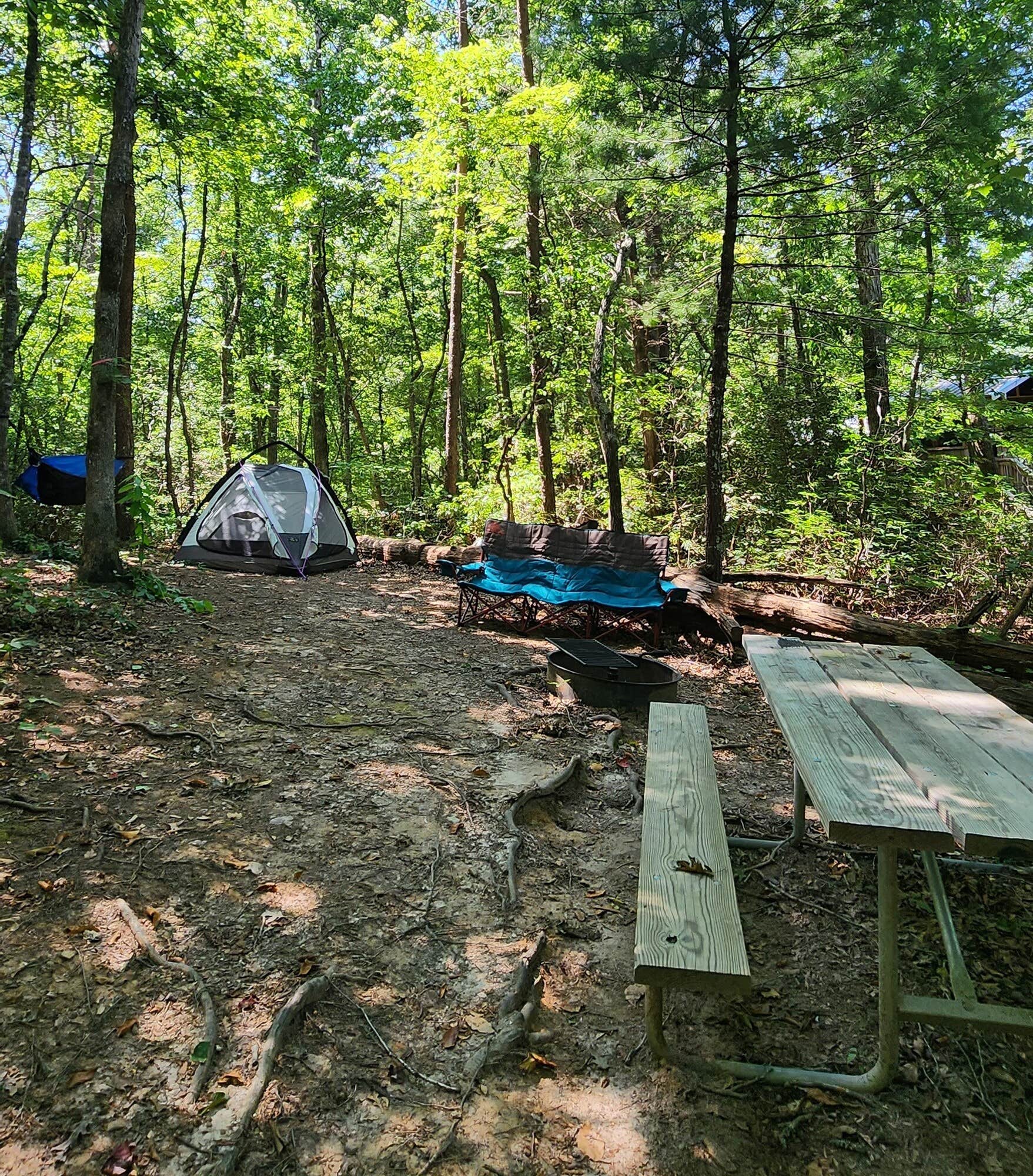 The Dyrt's photo at Emberglow Outdoor Resort near Saluda, NC