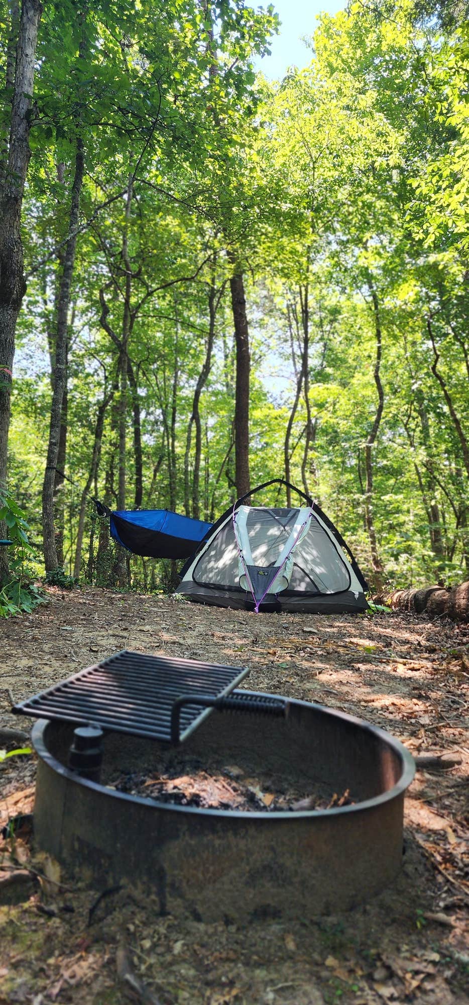 The Dyrt's photo at Emberglow Outdoor Resort near Saluda, NC