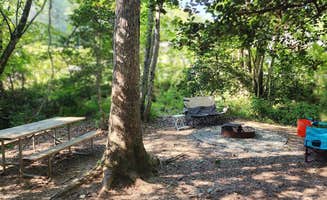 The Dyrt's photo at Emberglow Outdoor Resort near Landrum, SC