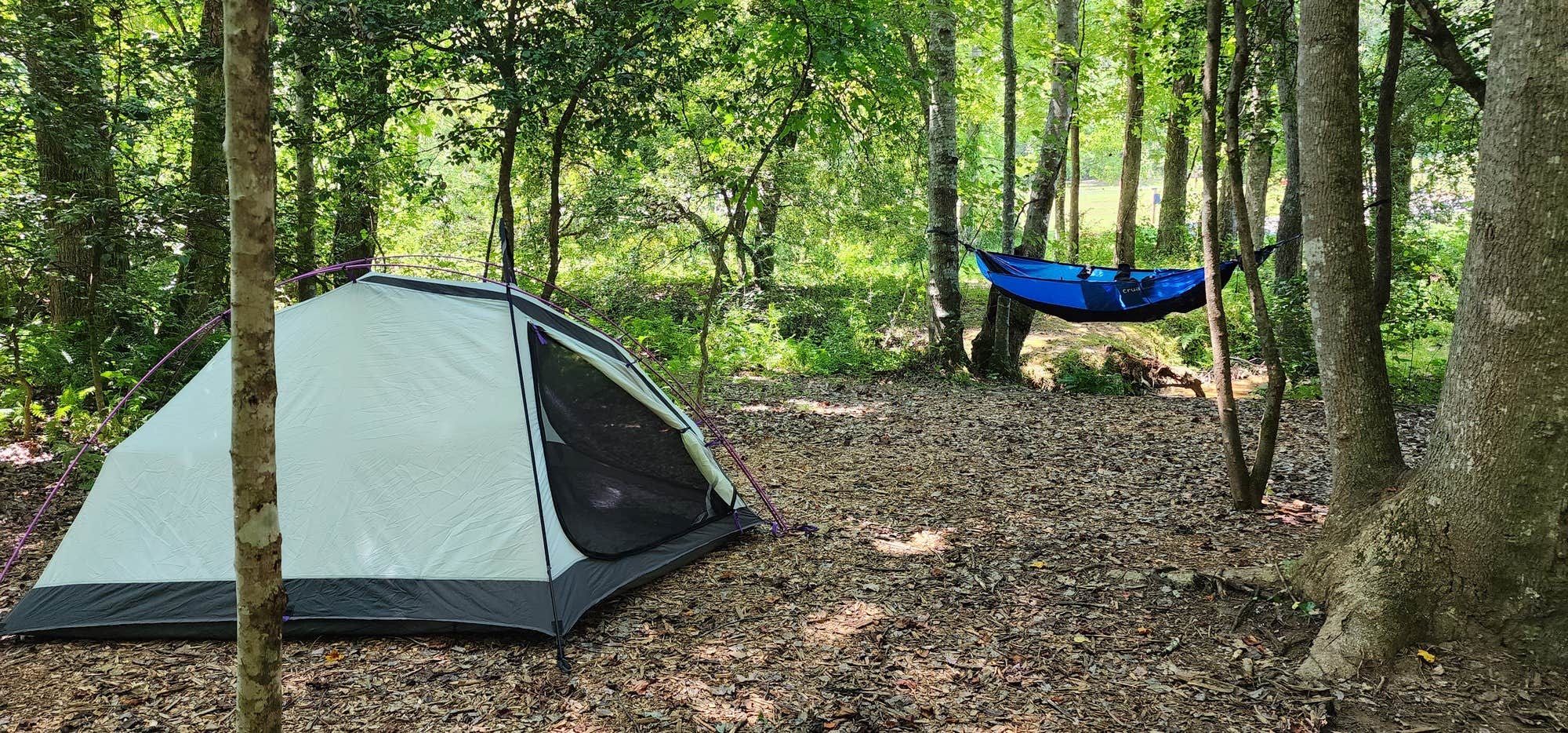 The Dyrt's photo at Emberglow Outdoor Resort near Lake Lure, NC