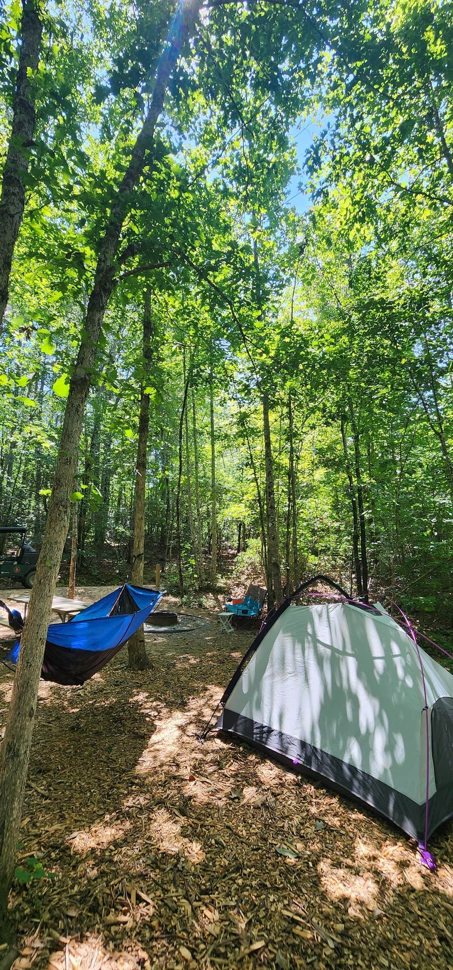 The Dyrt's photo at Emberglow Outdoor Resort near Saluda, NC