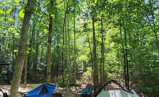 The Dyrt's photo at Emberglow Outdoor Resort near Saluda, NC