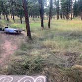 Review photo of Red Shale Campground & Geocache Site by Kellie , August 28, 2023