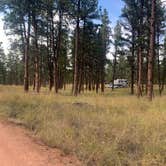 Review photo of Red Shale Campground & Geocache Site by Kellie , August 28, 2023