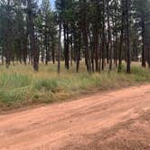 Review photo of Red Shale Campground & Geocache Site by Kellie , August 28, 2023