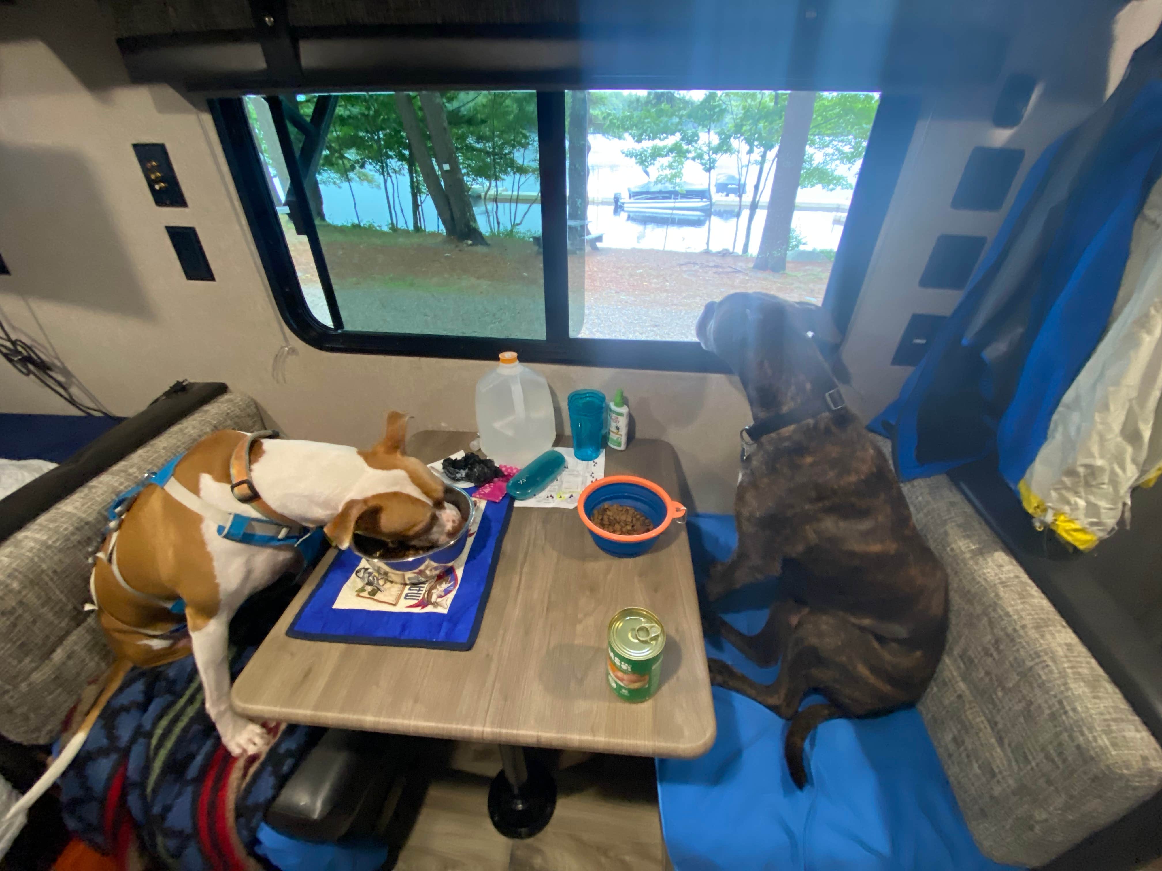 Camper-submitted photo at Duck Puddle Campground near Alna, ME