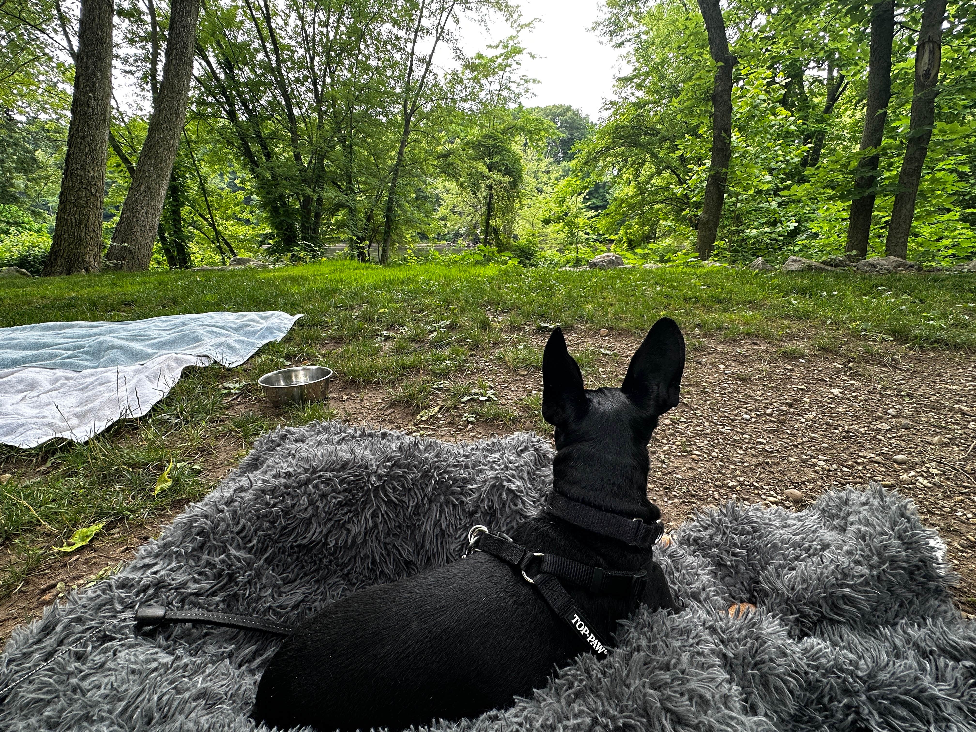 Camper-submitted photo at Shamrock Park near Niles, MI