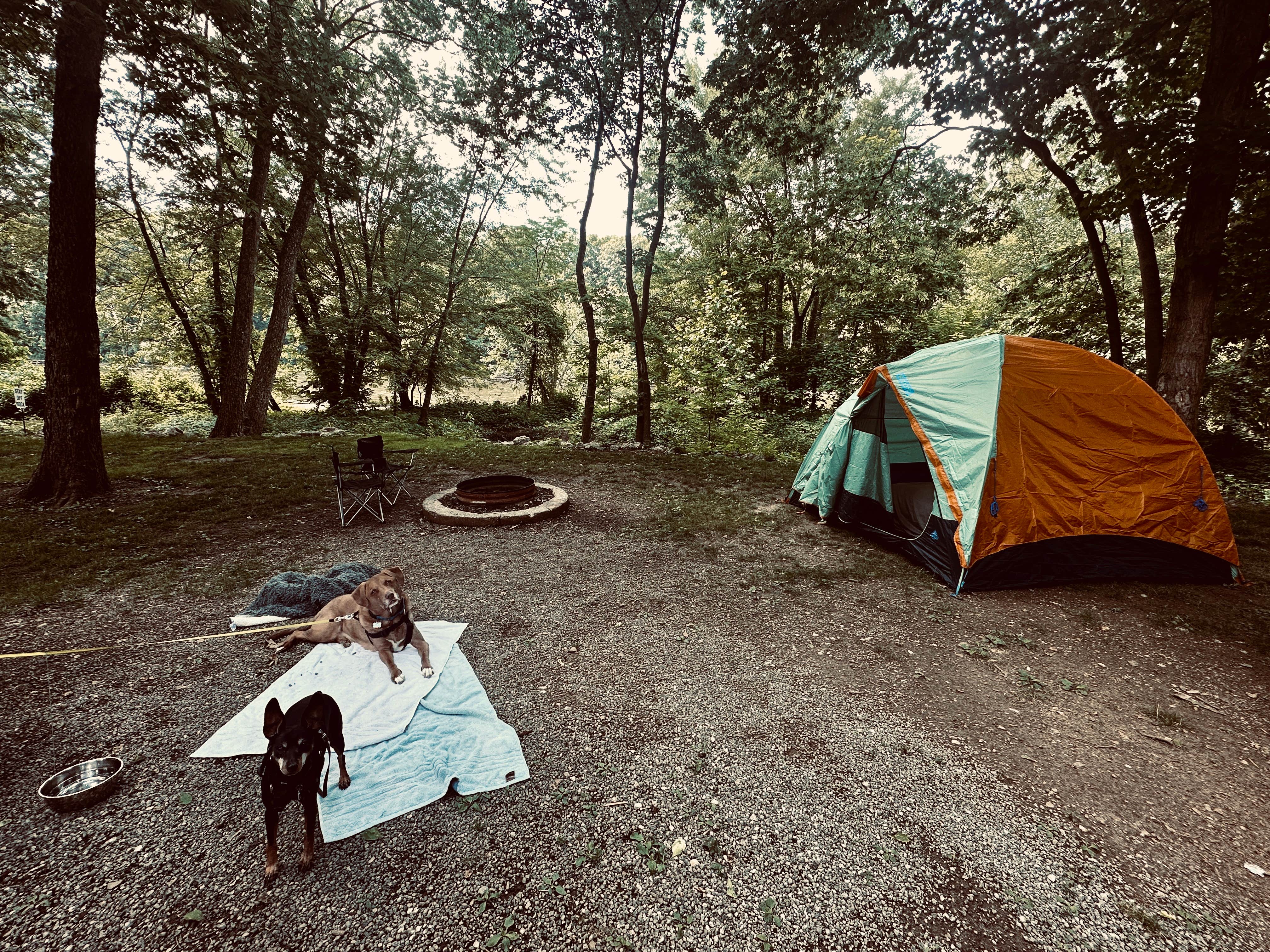 Cecelia G.&#x27;s photo at Shamrock Park near Niles, MI