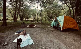 Cecelia G.'s photo at Shamrock Park near Bridgman, MI