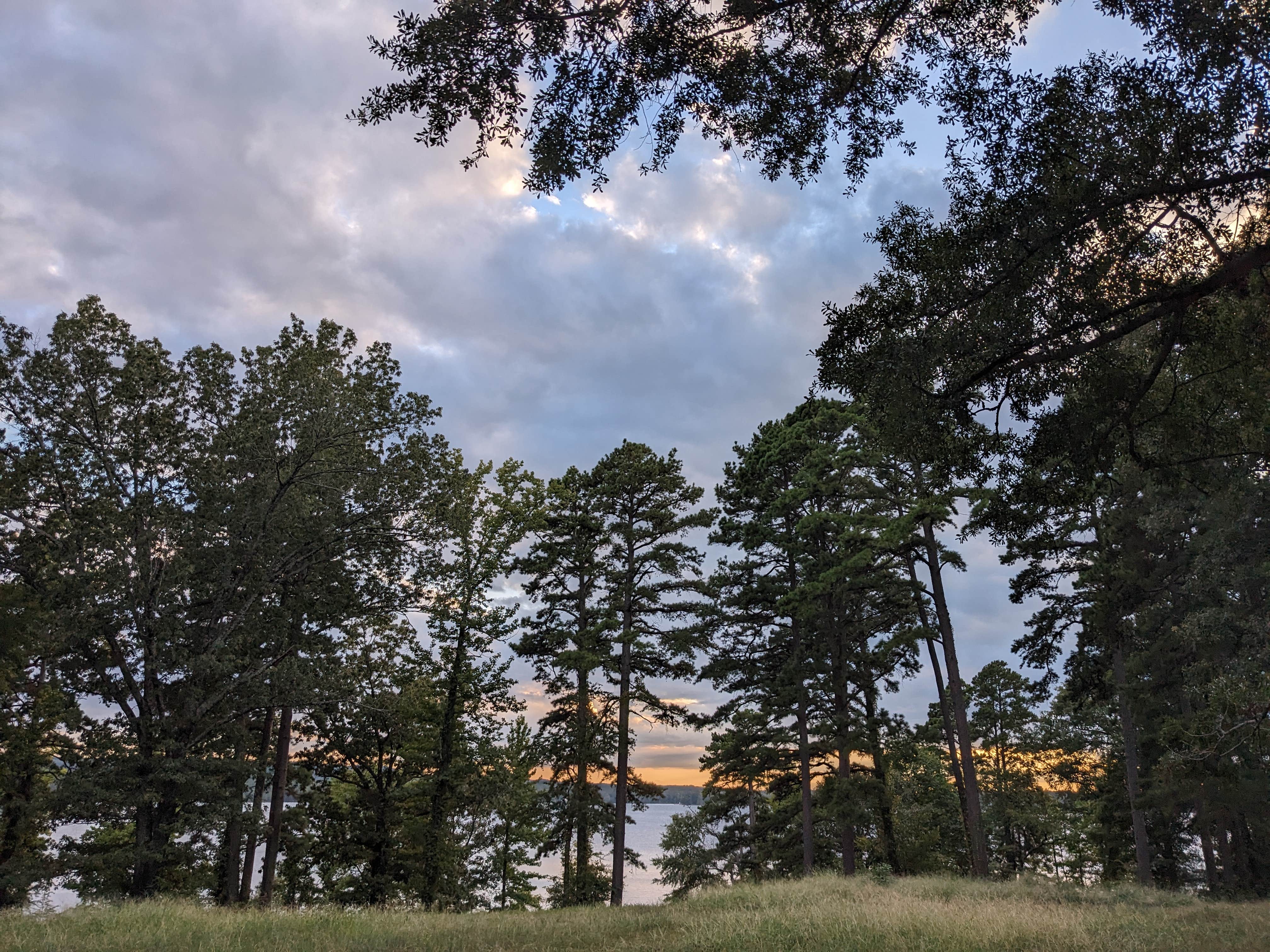 Camper-submitted photo at Harris Brake Lake near Royal, AR
