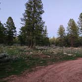 Review photo of Forest Service Road 328 Dispersed by Jason , August 28, 2023