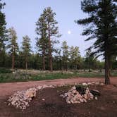 Review photo of Forest Service Road 328 Dispersed by Jason , August 28, 2023