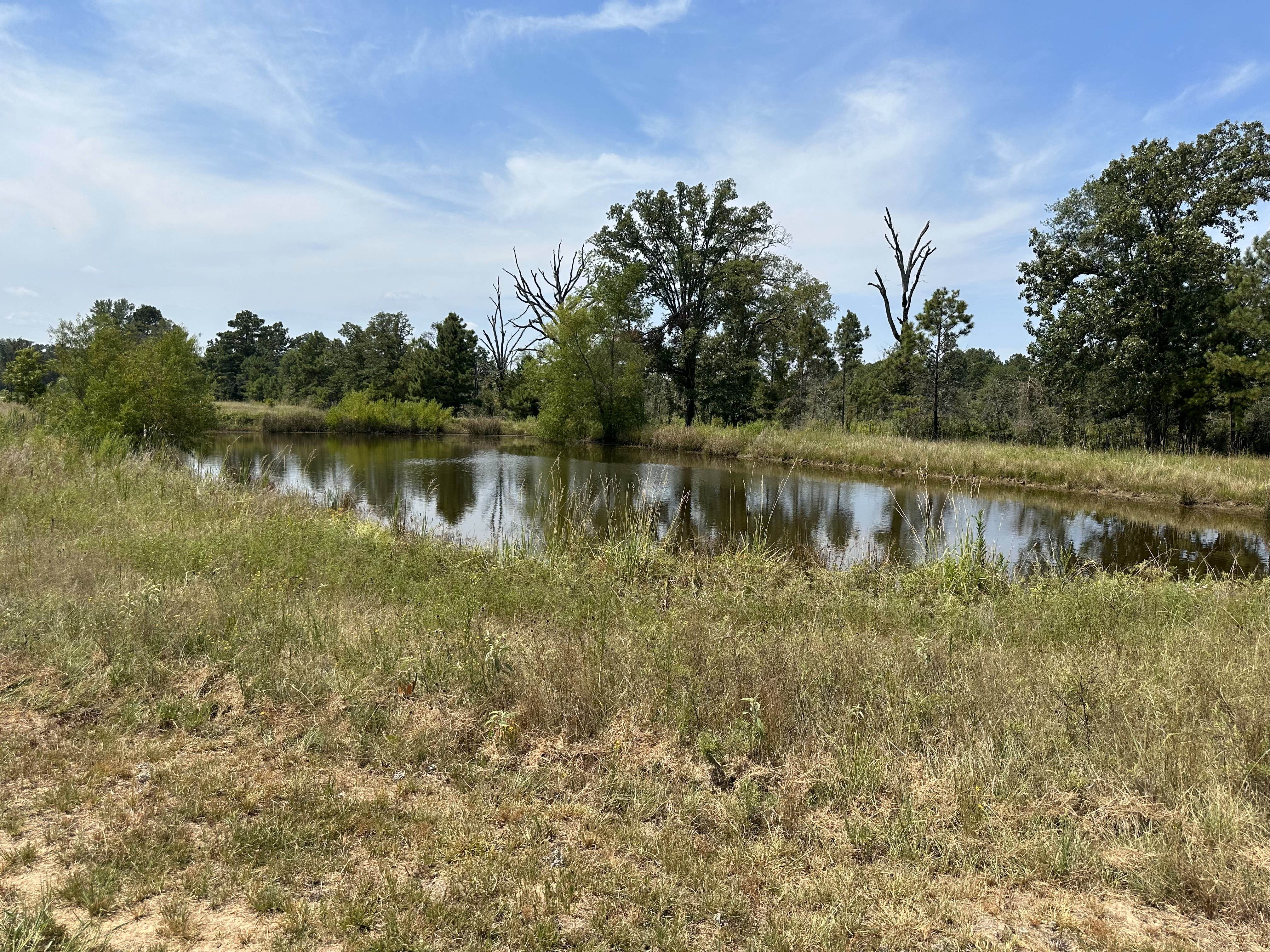 Camper-submitted photo at Marshall Meadows RV & Tiny Home Village near Blanchard, LA