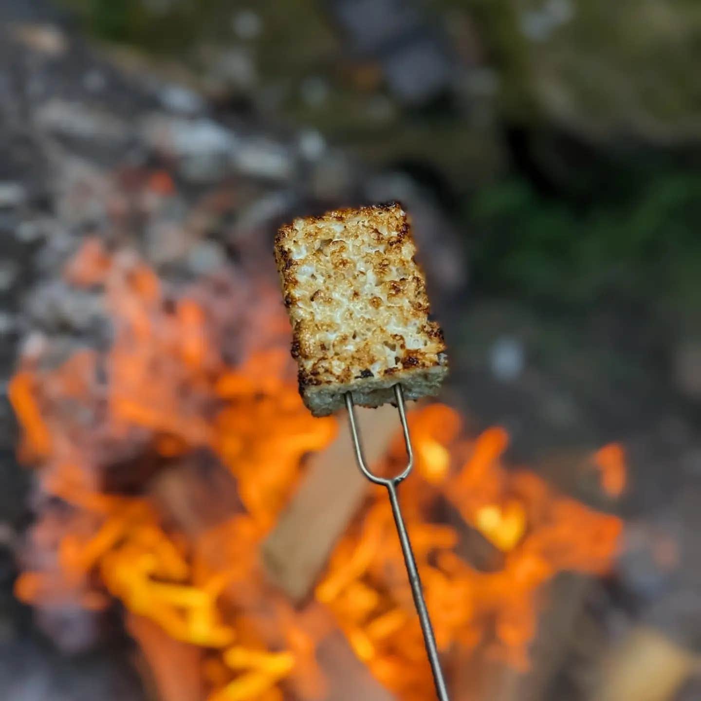 Camper-submitted photo at Memory Park Campground near Dellroy, OH