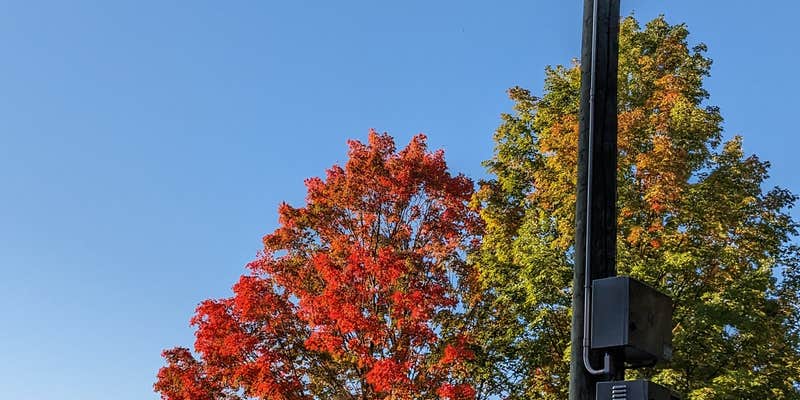 Camper submitted image from Grousehaven Campground — Rifle River Recreation Area