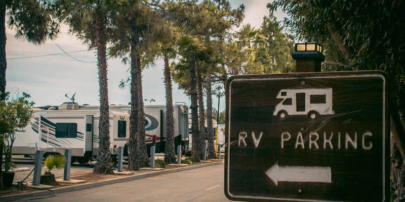 Camper submitted image from Earl Warren RV Park