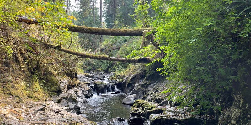 Camper submitted image from Porter Creek