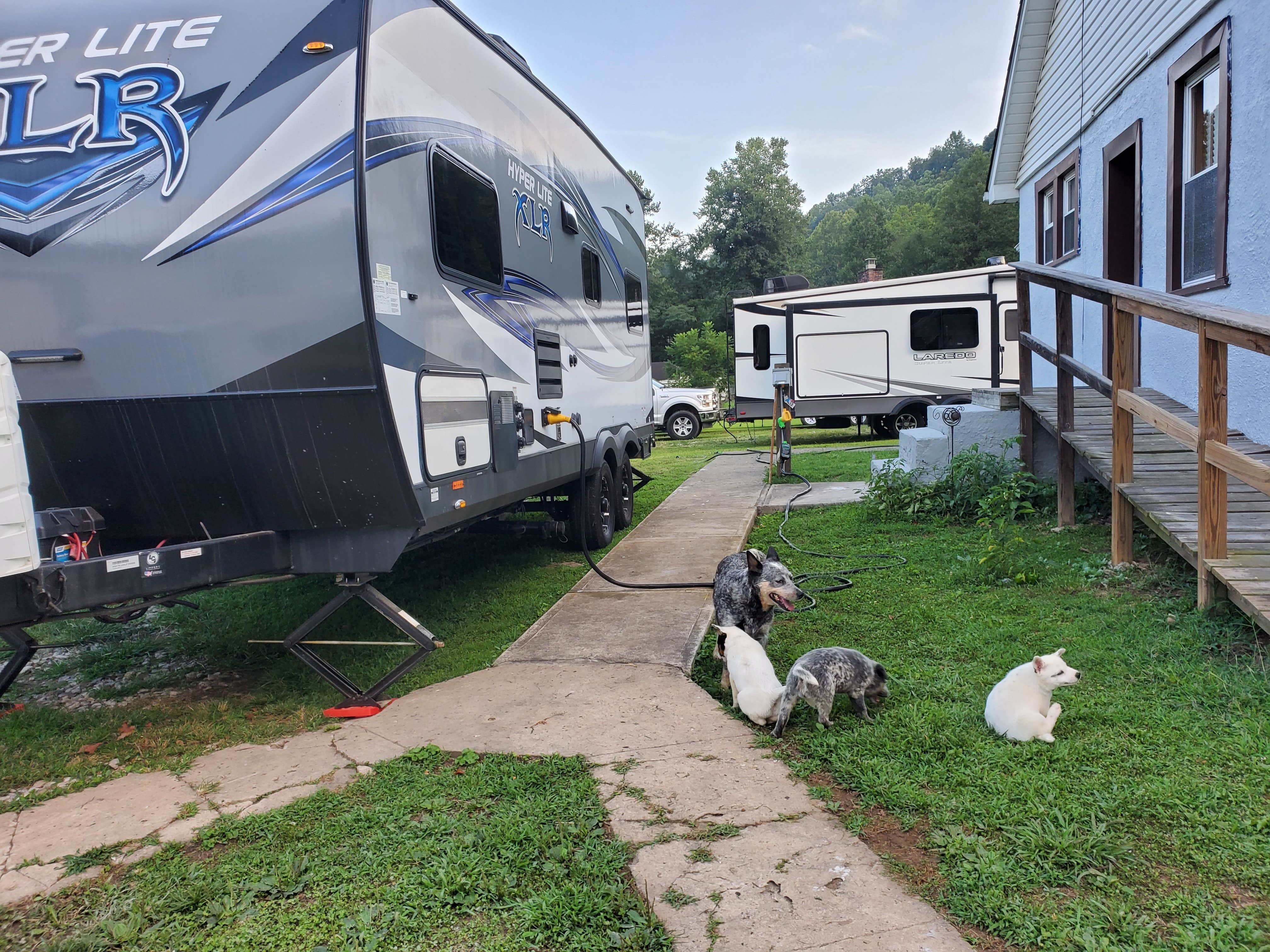 Liz W.'s photo of camping with pets at Quick Stay near Ravenswood, WV