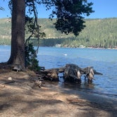 Review photo of Donner Memorial State Park by Denise G., August 29, 2023