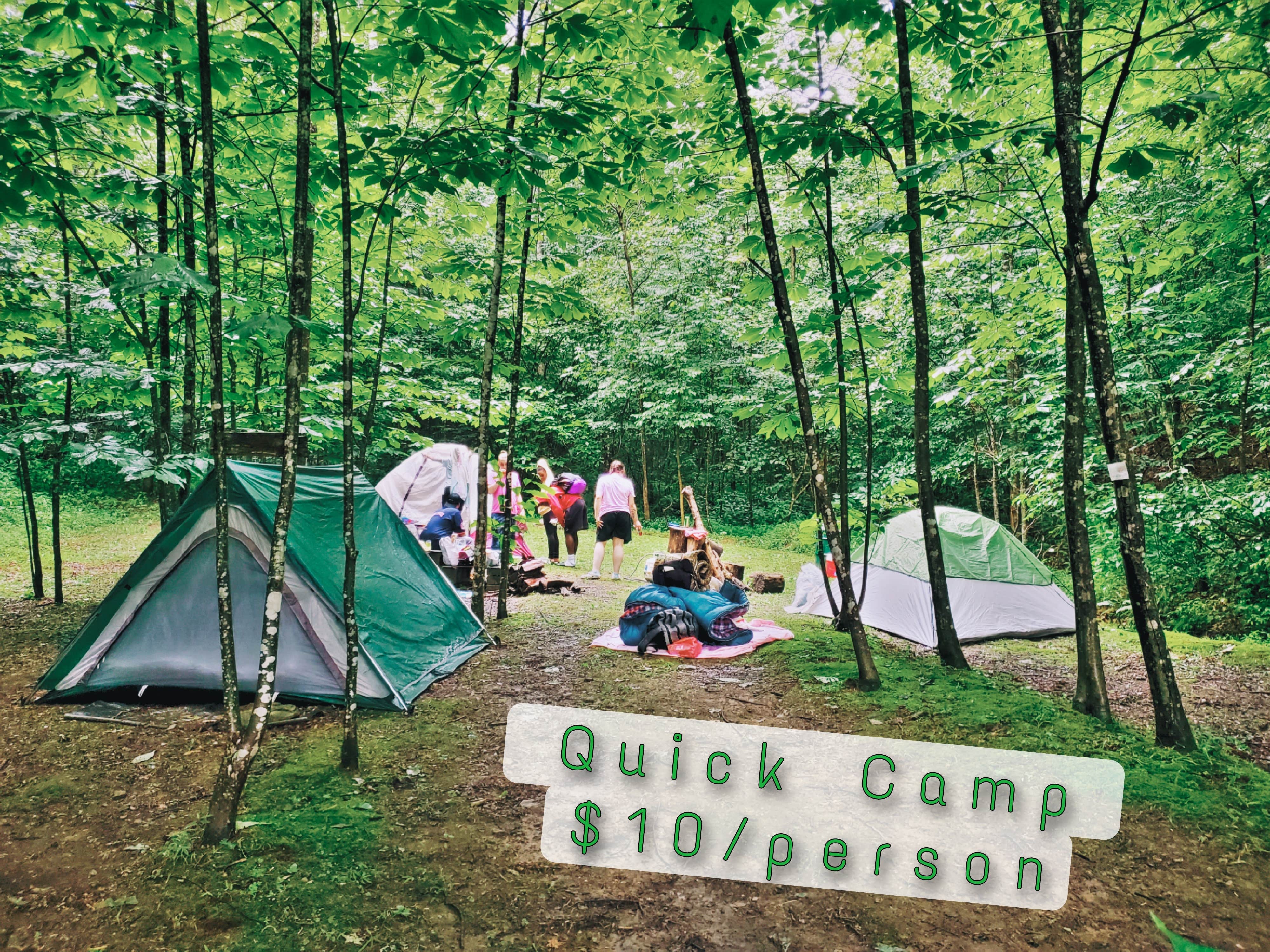 Camper-submitted photo at Flat Hollow Farm LLC near Hernshaw, WV