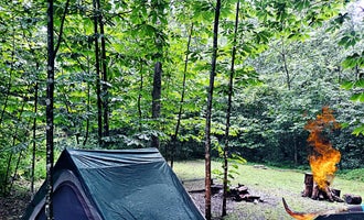 Camping near Saint Albans Roadside Park: Flat Hollow Farm LLC, Victor, West Virginia