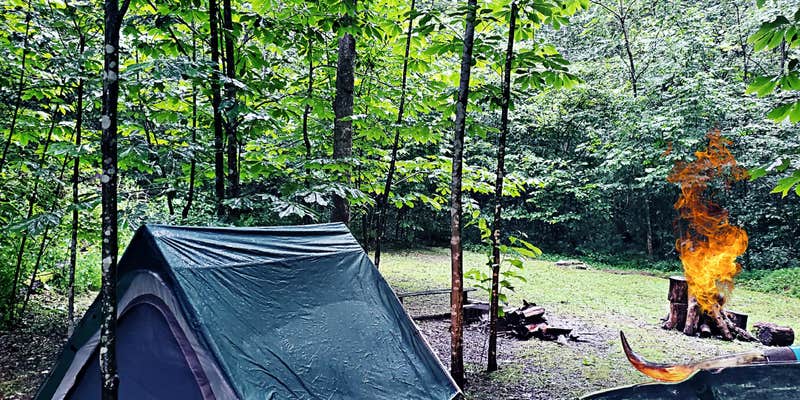 Camper submitted image from Flat Hollow Farm LLC