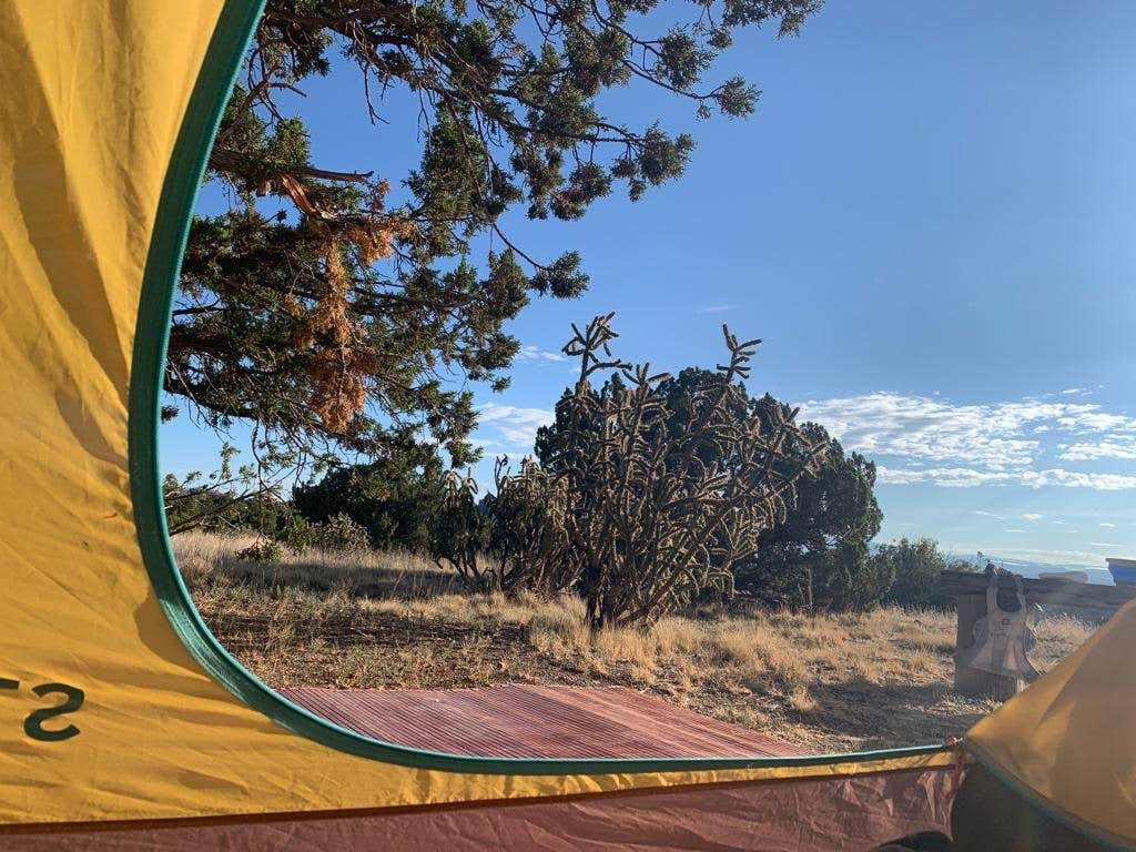 Camper submitted image from Mesa Top Camping - 4