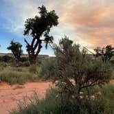 Review photo of Comb Wash Dispersed Camping Area by Iris A., August 29, 2023