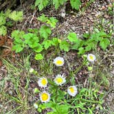 Review photo of Aloha State Park Campground by Stacia L., August 29, 2023