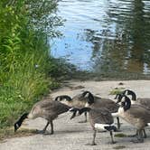 Review photo of Aloha State Park Campground by Stacia L., August 29, 2023