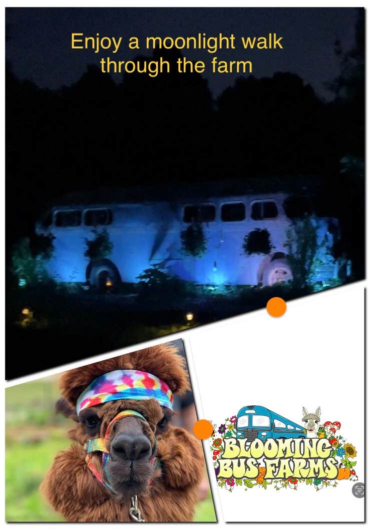 Camper-submitted photo at Blooming Bus Farms near Mishawaka, IN
